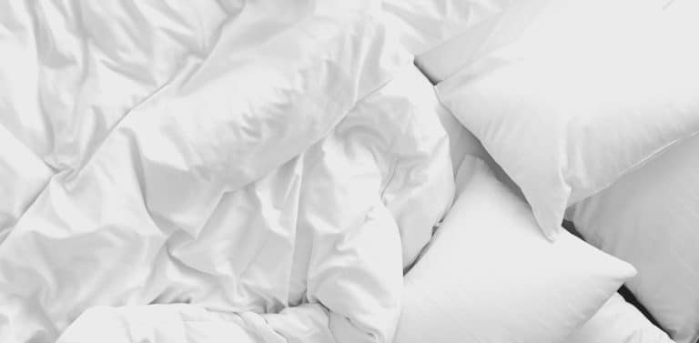 Banner 3