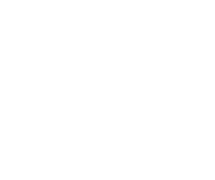 nbf logo