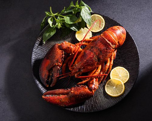 red boston lobster on plate with lemon and spice, dark black background